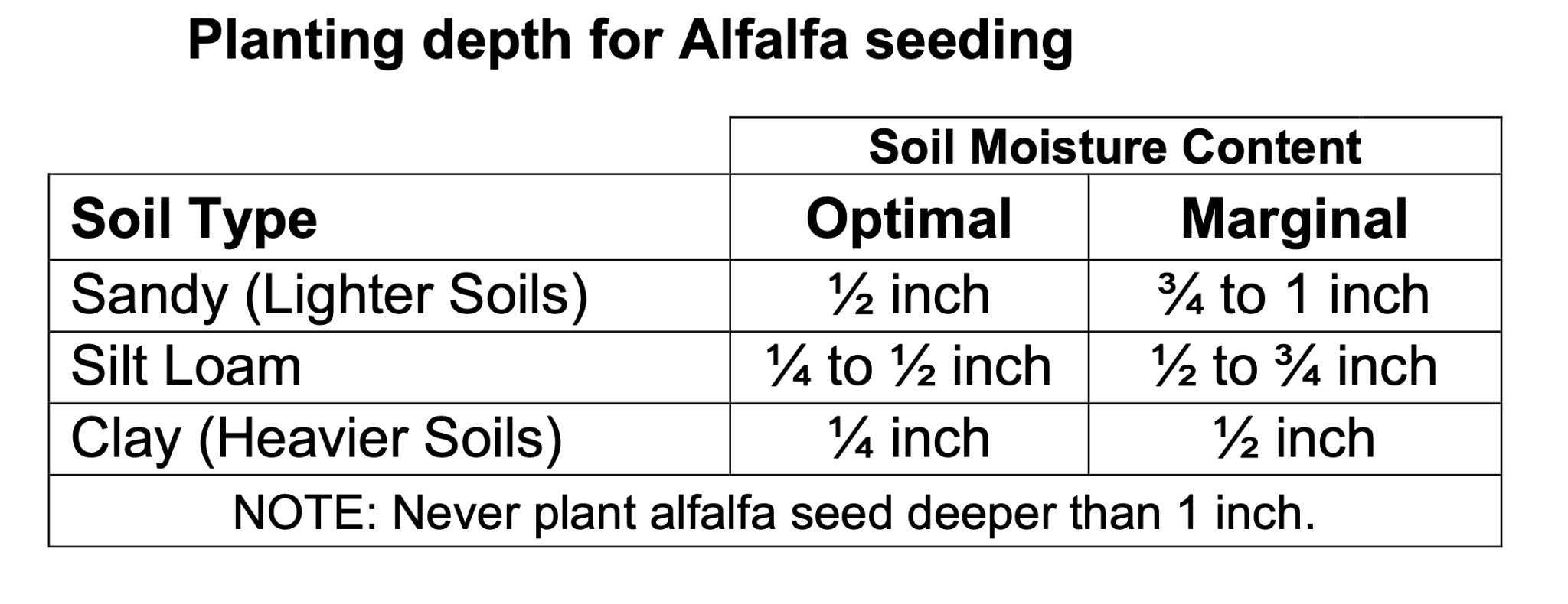 Late Summer Seeding Of Alfalfa Alforex Seeds